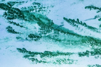 N 054B